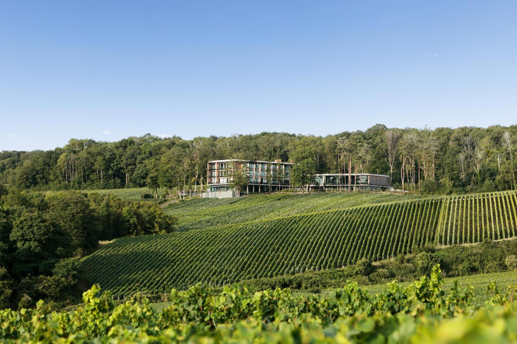 Loisium Wine & Spa Hotel Champagne Mutigny Exterior photo