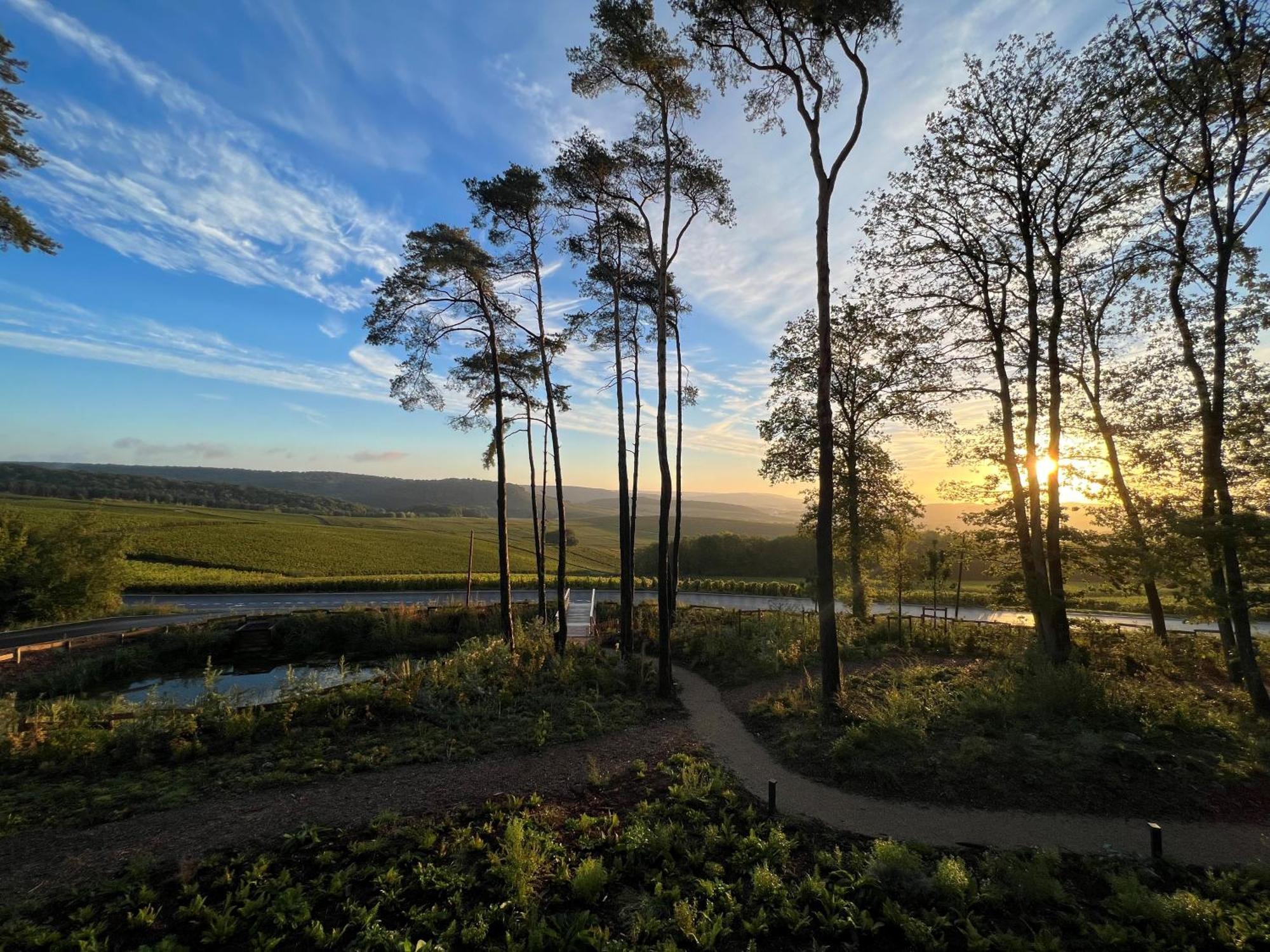 Loisium Wine & Spa Hotel Champagne Mutigny Exterior photo